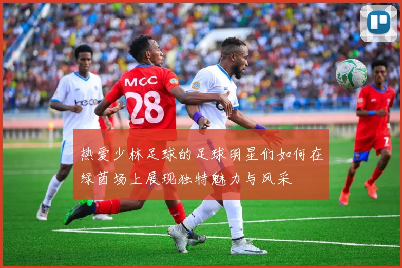 热爱少林足球的足球明星们如何在绿茵场上展现独特魅力与风采