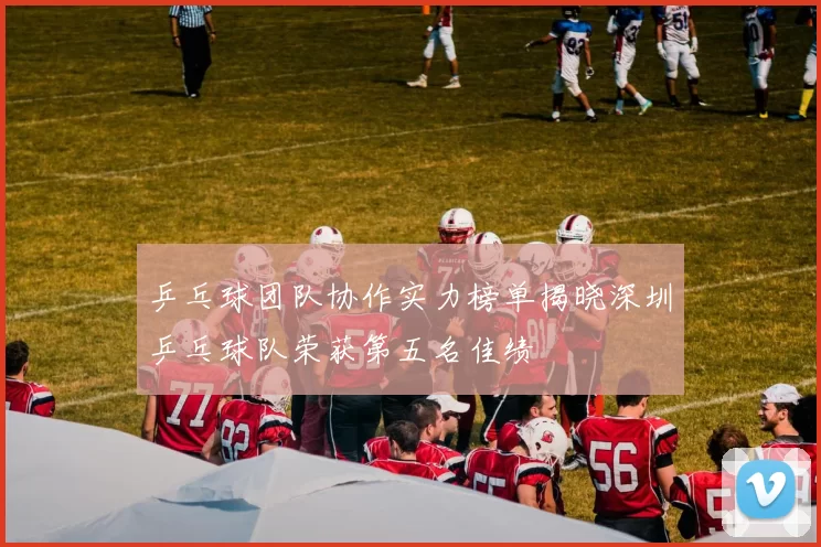 乒乓球团队协作实力榜单揭晓深圳乒乓球队荣获第五名佳绩