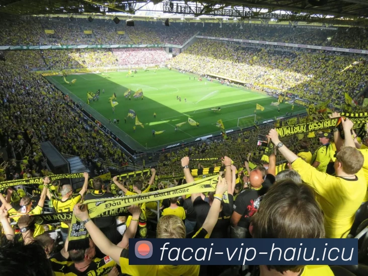 乐竞体育品牌故事