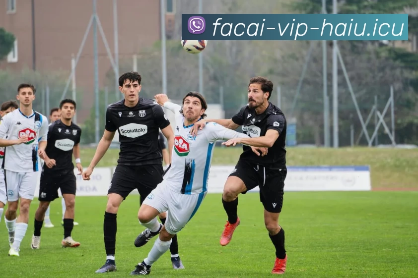 乐竞体育APP 体育赛事宣传图